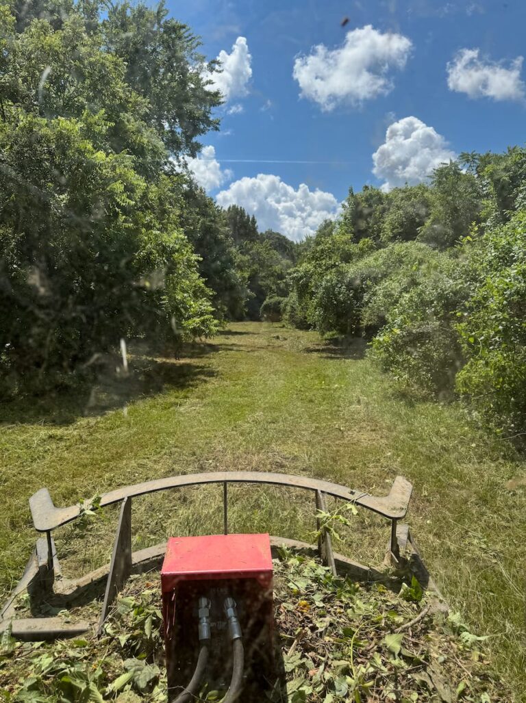 Land clearing and brush cutting project by 4Evergreen Landscaping in North Mississippi