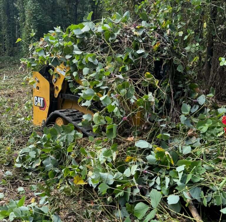 Land clearing and brush cutting project by 4Evergreen Landscaping in North Mississippi
