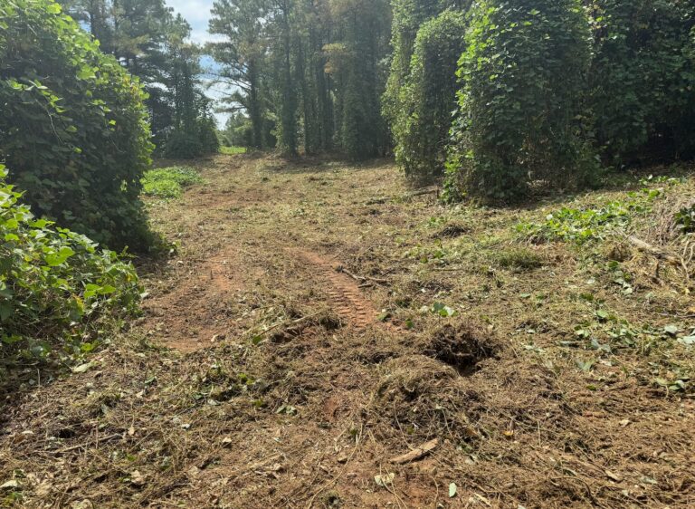 Land clearing and brush cutting project by 4Evergreen Landscaping in North Mississippi
