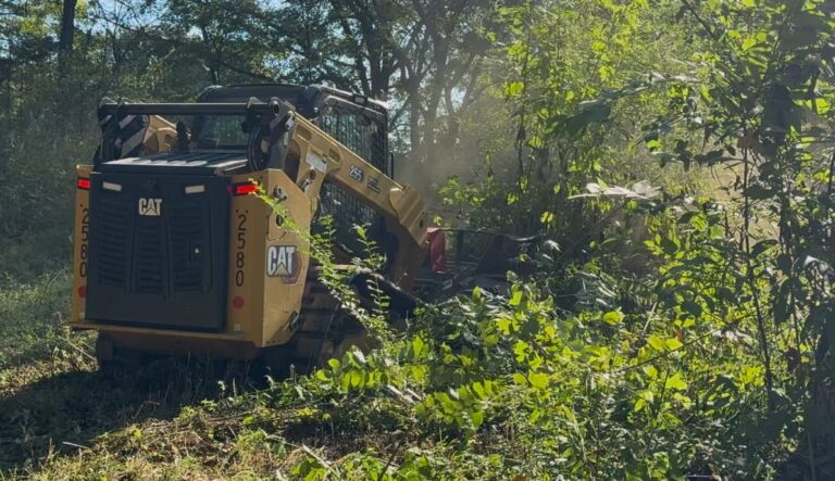 Land clearing and brush cutting project by 4Evergreen Landscaping in North Mississippi