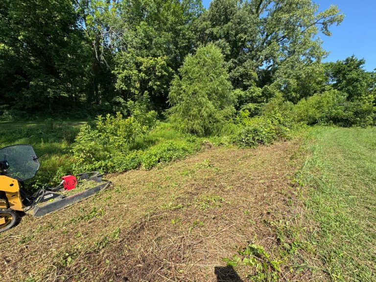 82-inch brush cutter attachment clearing heavy brush on a steep pond levee bank in Millington, Tennessee