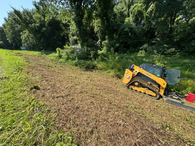 Skid steer clearing overgrown brush from a pond levee slope in Millington, Tennessee, with mulched material left as ground cover