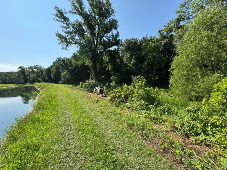 The full length of a pond levee cleared of brush in a single afternoon, Millington, Tennessee, with the track loader visible in the distance