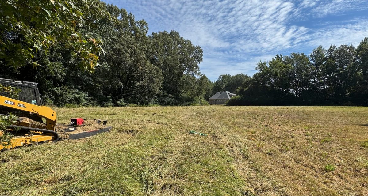 Land clearing and brush cutting project by 4Evergreen Landscaping in North Mississippi